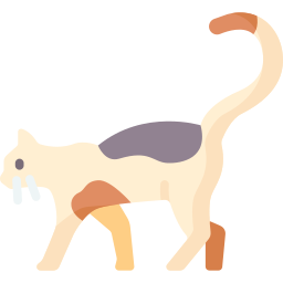 gato icono