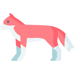 Fox icon