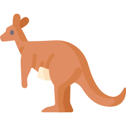 canguro icono