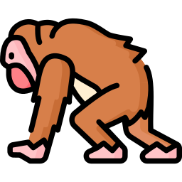 orangutan ikona