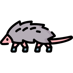 Opossum icon