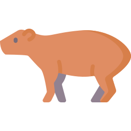capibara icoon