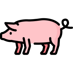 cerdo icono