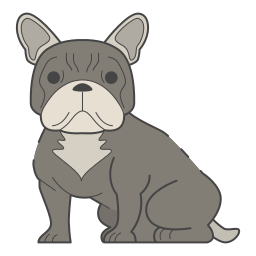 französische bulldogge icon