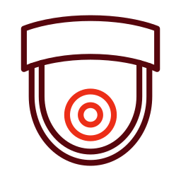 Surveilance icon
