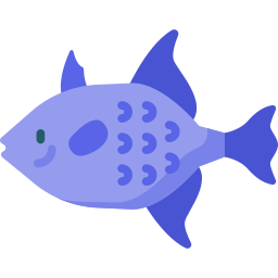 pesce balestra icona