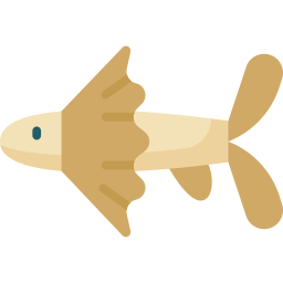 pesce ragno icona