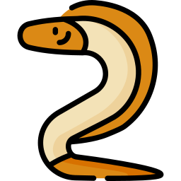 뱀장어 icon