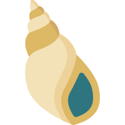 caracol de mar icono