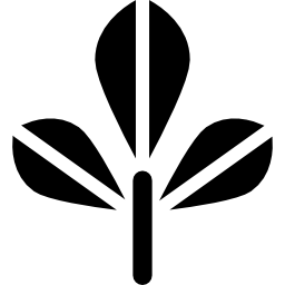 Árbol de bael icono