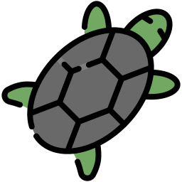 Turtle icon