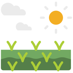 Rice field icon