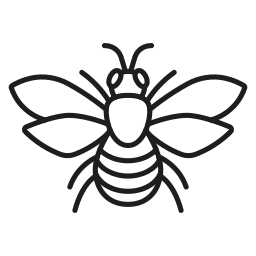 Insect icon