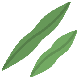 zielone fasolki ikona