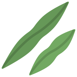 Green beans icon