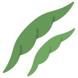 Green beans icon