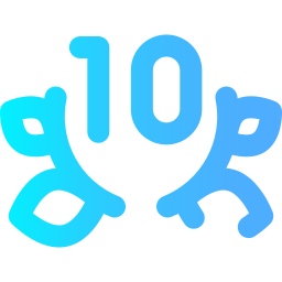 10. jahrestag icon