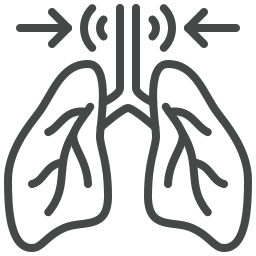 Lungs icon