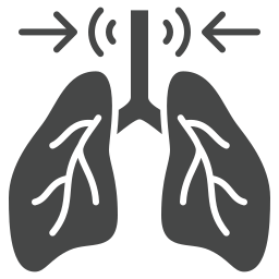 Lungs icon