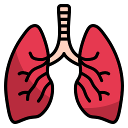 respiratorio icona