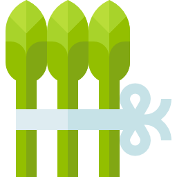 Asparagus icon