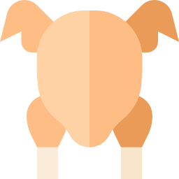 Turkey icon