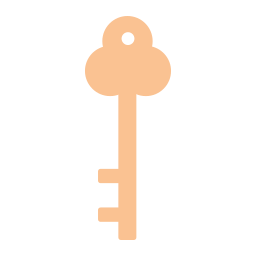 Key icon