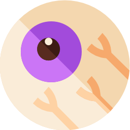 ojo icono