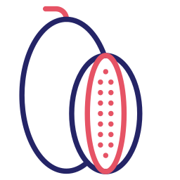 steinmelone icon