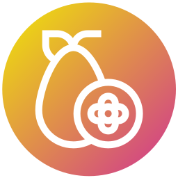 kumquat icon