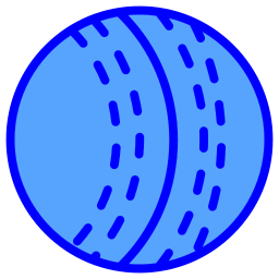 pelota de cricket icono
