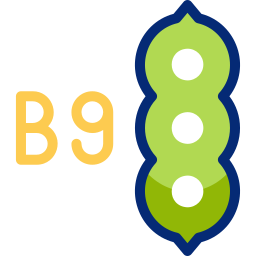 vitamina b9 icona