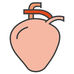 Heart icon