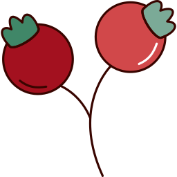 Fruit icon