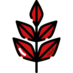 紅葉 icon