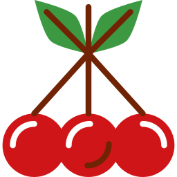 cranberries Ícone