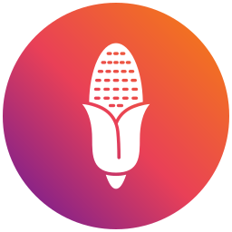 Corn icon