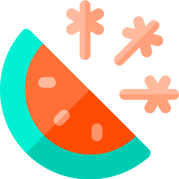 wassermelone icon