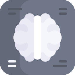 Mri icon