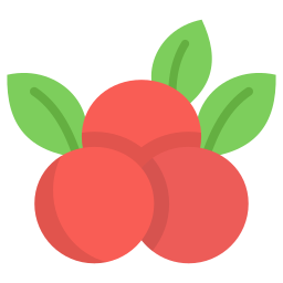 Berries icon