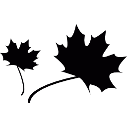 Two Maple leaves icon