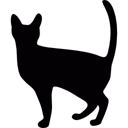 strega gatto icona