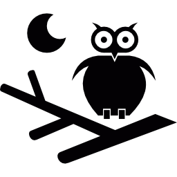 Owl at Night icon