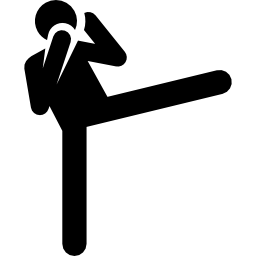 kickboxing Icône