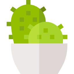 kaktus icon