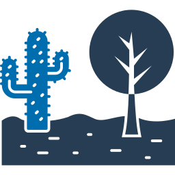 cactus icoon