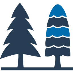 Pine tree icon