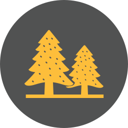 Forest fire icon