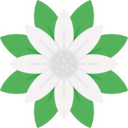 Tulip icon