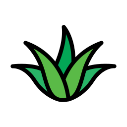 Aloe vera icon